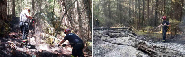 Gori šuma na granici Srbije i Crne Gore: Vatrogasci se bore sa stihijom! (FOTO)