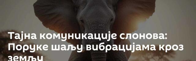 Тајна комуникације слонова: Поруке шаљу вибрацијама кроз земљу