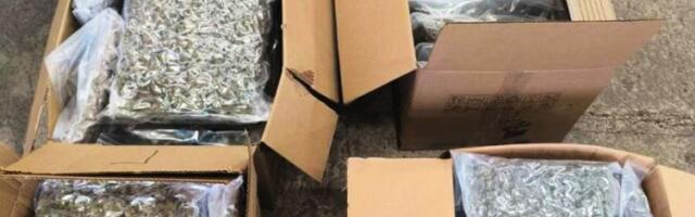 NATOVARIO KAMION PA PRAVAC NA ŠID: Graničnoj policiji i carini nije promaklo šta je kamiondžija pokušao da sakrije (FOTO)