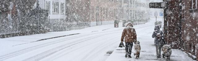 Evropa prebrodila najhladniji januar u poslednjih 16 godina: Zašto su temperature otišle u debeli minus?
