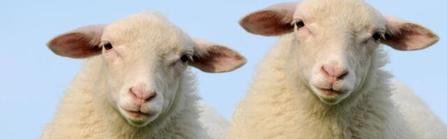 Bugarin proglašen mrtvim 2013. pronađen živ: Otkriveno gde je bio i šta je radio, a onda je PONOVO NESTAO!