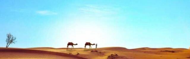 Zlatnici stari 1.400 godina pronađeni u pustinji