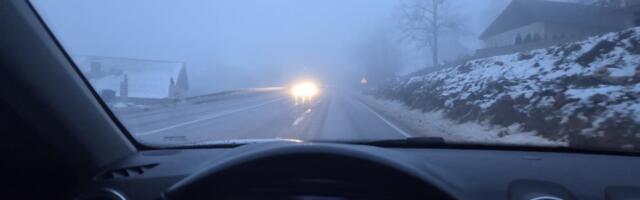 HODAJU SAMI U KOLONI I SVI SE PITAJU SAMO JEDNO! Fotografija snimljena na Zlatiboru GAĐA U SRCE: Zabrinjavajući prizor među nanosima snega! (FOTO)