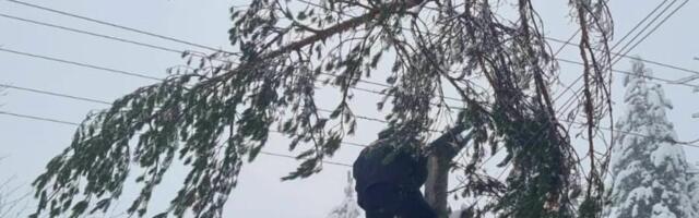 Ovi delovi Srbije i dalje u mraku, hitno se oglasio EDS! Snažno nevreme izazvalo brojne kvarove, zemlja okovana!