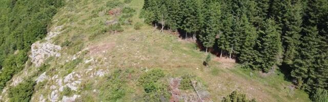 "Zverka sa krilima" snimljena u srcu jugozapadne Srbije: Došla da se počasti, pa ispozirala pred objektivom