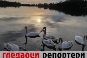 Гледаоци репортери (6. децембар 2022)