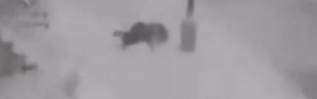 SPREMALA SE ZA FAKULTET I ŽIVOT: Ovo je devojka koju je ubio SNEG SA KROVA dok je hodala trotoarom (UZNEMIRUJUĆI SNIMAK)