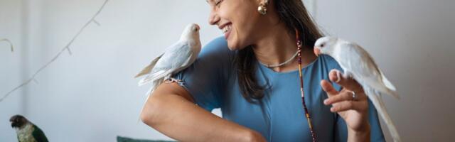 Zašto papagaji ljuljaju telo: Stručnjaci objašnjavaju kako da razlikujete igru i radost od problema