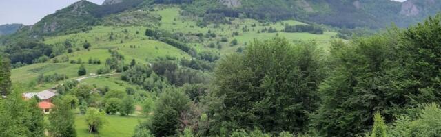 Čudo prirode pronađeno na ovoj planini u Srbiji: Ovakvog stvora niste videli, preti mu ISTREBLJENJE