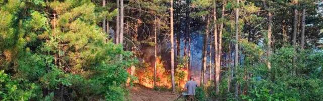 Požar u Vranju proglašen za elementarnu nepogodu