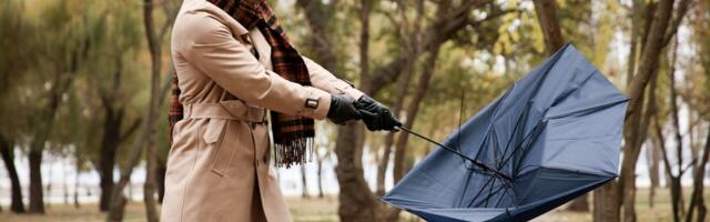 Od sutra kreće otopljenje: Od 4. decembra košava udara na Južni Banat