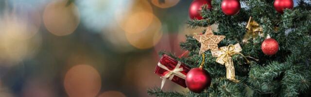 Trik od 100 dinara učiniće da stara jelka izgleda kao nova: Nisu vam potrebni ni ukrasi (VIDEO)