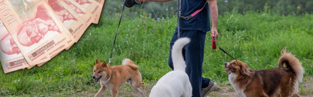 JEDAN SAT RADA DNEVNO MOŽE DA POKRIJE RAČUNE: Dodatni posao koji osvaja Srbiju!