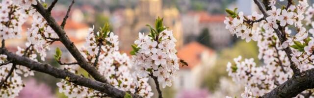 STIŽE PROLEĆE: Dan i noć se izjednačavaju, časovnici pomeraju