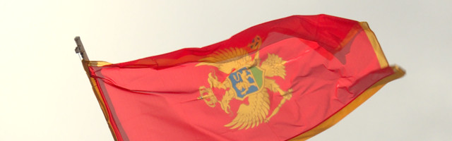 Montenegro’s Govt cancels contract with expert for celebrating Mladic