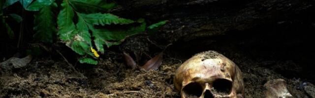 PRONAĐENE LJUDSKE KOSTI U RUDNIKU: Policija na licu mesta, evo KOME najverovatnije pripadaju