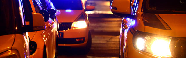 Užas kod Vladičinog Hana! Ćerka brutalno pretukla majku, na sreću je preživela