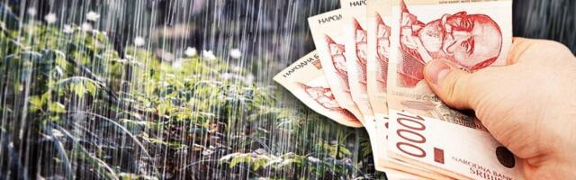 Sa čačanskih livada na tanjire francuskih restorana: Kad je kiša od ovog biznisa možete debelo da se oparite