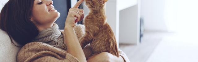 8 namirnica koje sme da jede i vaša mačka