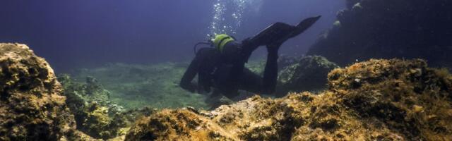 Neobično otkriće u Jadranskom moru, naučnici zbunjeni: "Ovakav prizor nikada ranije nismo videli"