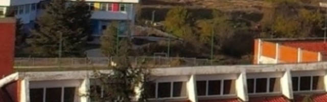 Tragedija u Sremčici, godinama ih čuvali, a sada ih više nema!