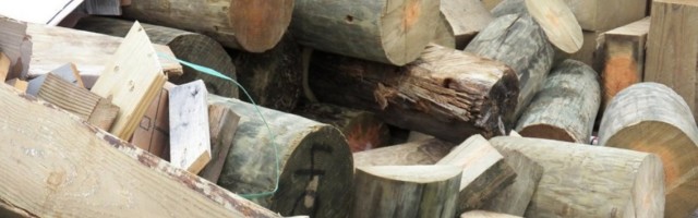 UBILO GA DRVO KOJE JE ODSEKAO! Detalji tragedije kod Valjeva: Na sličan način stradao i njegov otac pre nekoliko godina