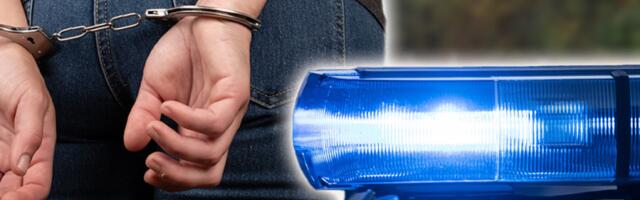 DRAMA U ZEMUNU! Tukla majku, pa joj pretila da će je ubiti - EVO KAKO SE BRANILA!