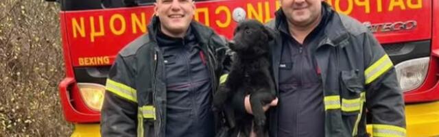 Herojski podvig vatrogasaca-spasioca: Izvukli psa iz bunara bez ogrebotine (VIDEO)