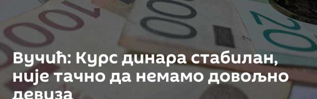 Вучић: Курс динара стабилан, није тачно да немамо довољно девиза