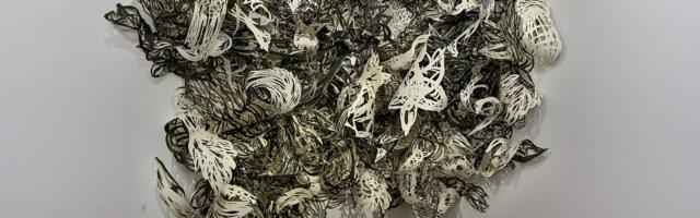 Izložba „Fascinacija papirom“ u bečkoj Albertini: Od Direra do Anselma Kifera