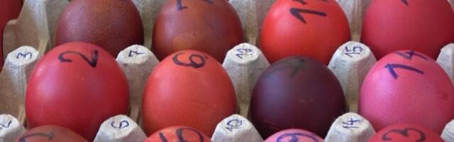 Spremni za Tucanijadu: Odabrana najtvrđa jaja