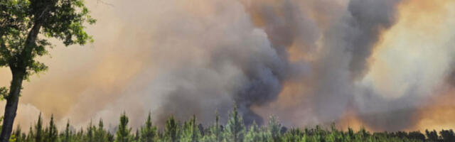 Пожари на југоистоку САД: уништено 50 кућа