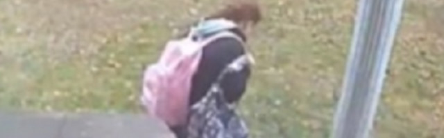 Pazila je kako hoda po zaleđenom dvorištu, ali nije uspela da izbegne najgore (VIDEO)
