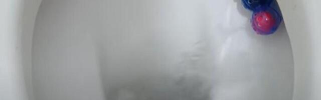 UVEČE UBACIM SREDSTVO OD 20 DINARA U WC ŠOLJU, UJUTRO JE KAO NOVA! Trik za koji malo koji Srbin zna