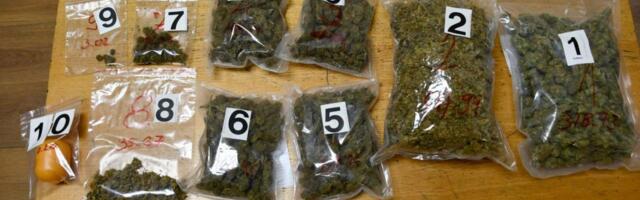 POLICIJA ZATEKLA DVOJICU NA ULICI, PA JEDNOM UPALI U STAN: Zaplenjeno više od kilograma droge u Boru! (foto)