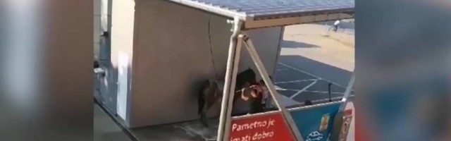 Svi dele snimak Novosađanina koji je odveo konja da okupa u auto perionici