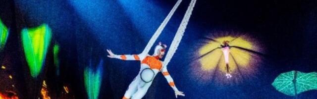 SMRT PRED PUNOM SALOM: Cirkuska tačka se pretvorila u stravičnu tragediju! (FOTO)