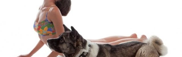 SA NJIM JE IZOLACIJA MAČJI KAŠALJ! Ostanite staloženi i u ovim teškim danima! (Video)