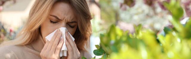 Kako ublažiti simptome alergije na polen u proleće: Ovih pet saveta vam mogu pomoći