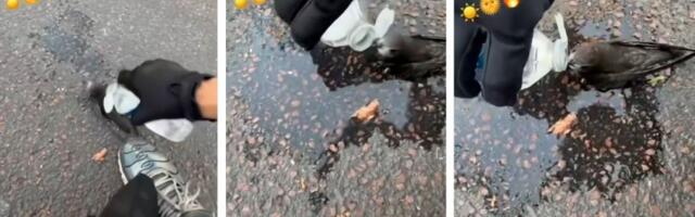 Snimak užasa u Parizu sve zapanjio: Ovako izgleda katastrofa (VIDEO)