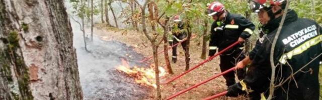Oni su naši heroji! Srpski vatrogasci se osmi dan bore protiv požara u Grčkoj! (FOTO)