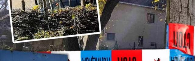 SASLUŠAN UBICA IZ BABUŠNICE! Srđan ubio sina i oca i ranio dve osobe - OTKRIVEN BIZARNI MOTIV!