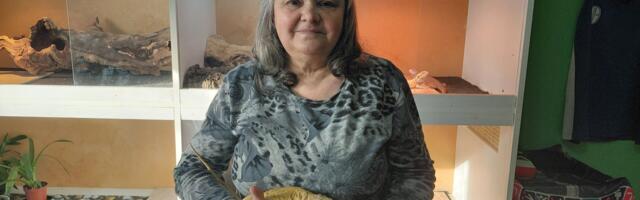 Kako je gospođa Mira iz Kraljeva zavolela reptile