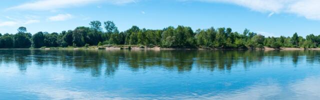 Vukovarska ada sve je bliže Srbiji, uskoro bi se mogla i fizički spojiti: Hrvati traže hitne mere