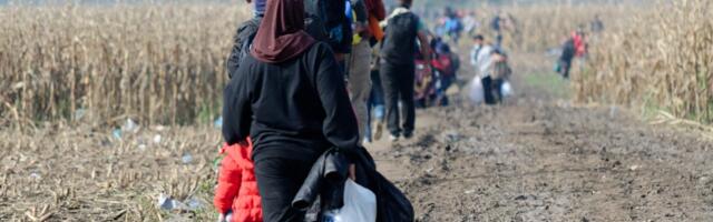 KRAJ DRAME U HRVATSKOJ! Izvučeno 30 ljudi iz Save, migranti završili u hrvatskim bolnicama