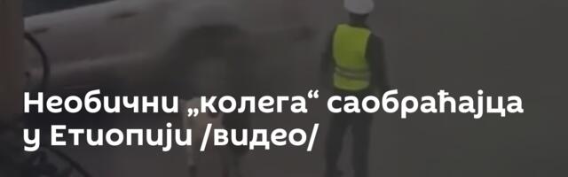 Необични „колега“ саобраћајца у Етиопији /видео/