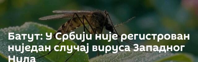 Батут: У Србији није регистрован ниједан случај вируса Западног Нила