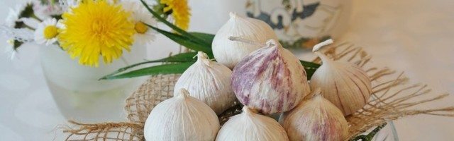 SVAKI DAN PO ČEN BELOG LUKA! Za samo 24 sata desiće se nešto neverovatno