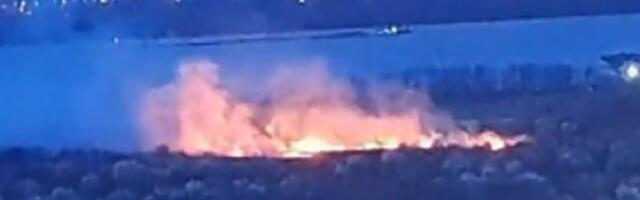 Požar na Adi Huji (VIDEO)