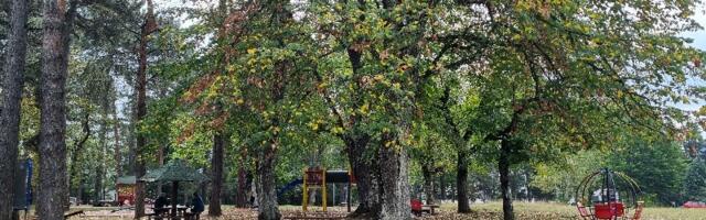 Todorović: Zahlađenje oko 20. novembra, snega neće biti pre decembra